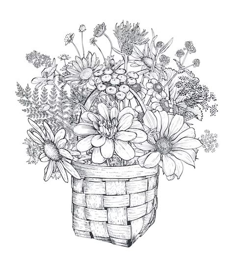 Basket Sketch, Wildflower Drawing, Sketch Images, Pen Art Work, Basket Drawing, Flower Drawing Tutorials, Floral Composition, Adult Coloring Designs, Hand Embroidery Patterns Flowers