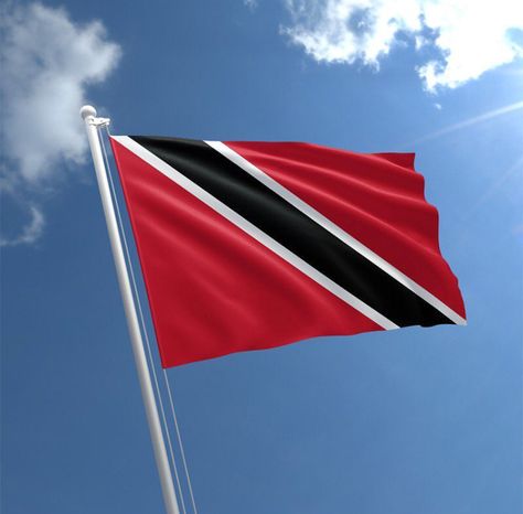 Trinidad 🇹🇹 Flag Bape Shark Wallpaper, Trinidad Wedding, Trinidad Flag, Trinidad And Tobago Flag, Bape Shark, Trinidad Tobago, Caribbean Culture, Wedding Goals, West Indies