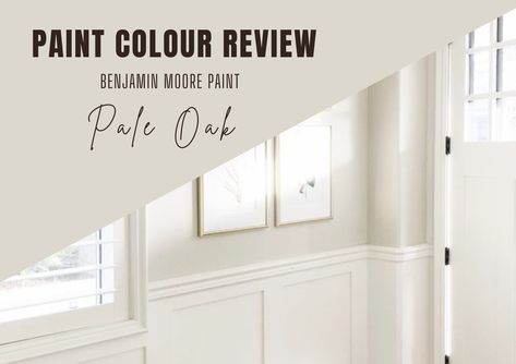 With many different hues each with its own undertones, choosing the perfect neutral paint colour for your home can be overwhelming. Enter Pale Oak by Benjamin Moore! In this article, we explore everything you need to know about Pale Oak, from its LRV and how it looks under different lighting conditi Pale Oak Vs White Dove, Pale Oak Benjamin Moore Lrv, Pale Oak Walls White Dove Trim, Benjamin Moore Pale Oak Cabinets, Pale Oak And White Dove, Bm Pale Oak, Pale Oak Benjamin Moore, Benjamin Moore Pale Oak, Sherman Williams Paint