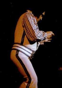 Elvis live at the Sahara hotel Lake Tahoe may 1976 V-neck  suit Elvis Presley Fat, Elvis Outfits, Elvis 1975, Elvis Karate, Fat Elvis, Elvis Presley Films, Elvis Presley Quotes, Presley Family, Elvis Jumpsuits