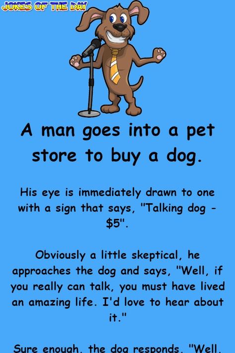 Funny Joke: A man goes into a pet store to buy a dog.   His eye is immediately drawn to one with a sign that says, "Talking dog - $5".   Obviously a little If Dogs Could Talk, Funny Dog Signs, Funny Dog Jokes, Jokes About Men, Funniest Jokes, Dog Comics, Talking Dog, Dog Jokes, Funny Dog Memes