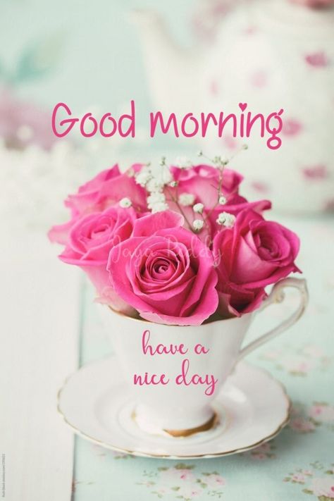 Teacup Flowers, Tout Rose, Good Morning Roses, Rose Pictures, Good Morning Picture, Good Morning Love, Morning Flowers, Good Morning Flowers, Morning Wish