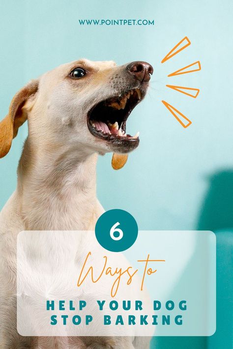 It’s natural for dogs to bark, but sometimes dog barking can become a problem. Click to find out six different techniques that can help reduce excessive barking. Dog Stop Barking, Dog With A Blog, Puppy Barking, Stop Dog Barking, Attention Seeking, Dog Brain, Calm Dogs, Forms Of Communication, Dog Info