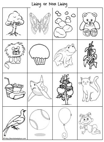 Awesome site with worksheets for everything and several grade levels! Living And Non Living Things Worksheets For Kindergarten, Living And Non Living Things Activities For Preschool Worksheets, Living And Nonliving Worksheet, Living And Non Living Things Worksheets, Living Things And Non Living Things Worksheet For Grade 1, Living Things And Non Living Things, Non Living Things, Living And Nonliving Things, Characteristics Of Living Things