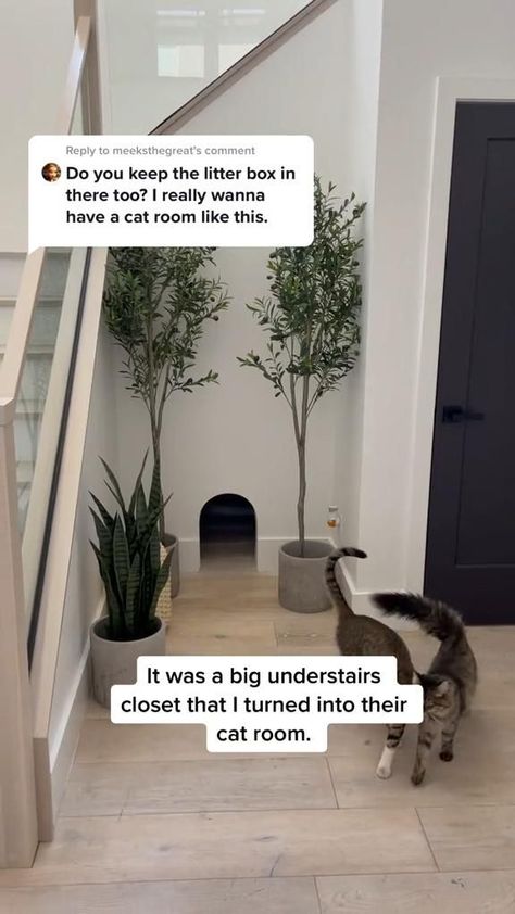 Under Stairs Closet, Cat Closet, Stairs Closet, Animal Room, Room Idea, Cat Room, Under Stairs, Cat Diy, Cat Tree