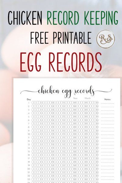 Get your FREE printable today! 🐣https://www.reformstead.com/poultry_record_keeping_templates.htmlform Free Homestead Printables, Egg Production Chart, Chicken Run Plans, Incubating Chicken Eggs, Google Sheets Templates, Homesteading Animals, Urban Backyard, Backyard Chicken Farming, Farm Plans