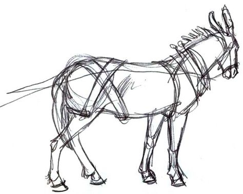 mule sketch Mule Sketches, Drawing Horses, History Drawings, Barnyard Animals, Horse Drawings, Clipart Black And White, Family History, Line Drawing, Mule