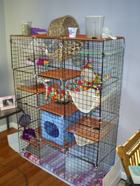 Photo @ http://www.ratforum.com/showthread.php?27566-Will-C-amp-C-cages-with-tops-work-for-Rats Rat Cage Ideas, Rat Cage Diy, Ferret Diy, Pet Rat Cages, Rat Care, Chinchilla Cage, Ferret Cage, Rat Cage, Fancy Rat