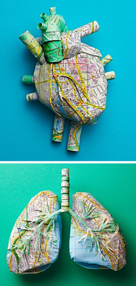 Anatomy Art Projects, Anatomy Project Ideas, Lungs Sculpture, Anatomy Crafts, Anatomy Artists, Lungs Illustration, Form In Art, Spine Art, Science Art Projects