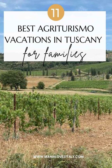 The best Tuscany agriturismo for families: 11 farm stays you and your kids will love | Mama Loves Italy Tuscany Must Do, Tuscany Trip Itinerary, Farms In Italy, Tuscany With Kids, Agritourism Farms, Italian Farm, Italy Countryside, Agriturismo Tuscany, Modena Italy