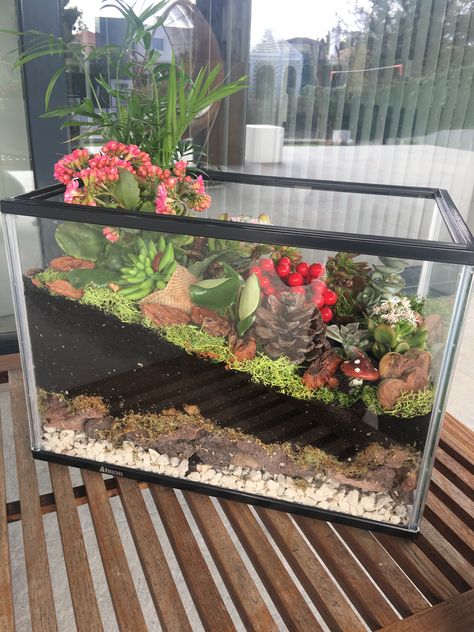 House Plant Terrarium, Best Terrarium Plants, Closed Terrarium, Aquarium Garden, Diy Succulent Terrarium, Fish Tank Terrarium, Beautiful Terrariums, Aquarium Terrarium, Succulent Garden Diy