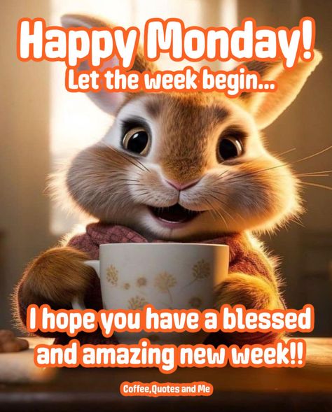 Let the week begin...Happy Monday! Happy Monday Images, Monday Pictures, Happy Monday Quotes, Happy Monday Morning, Happy Day Quotes, Good Morning Happy Monday, Good Morning Coffee Gif, Monday Blessings, Cute Good Morning Images