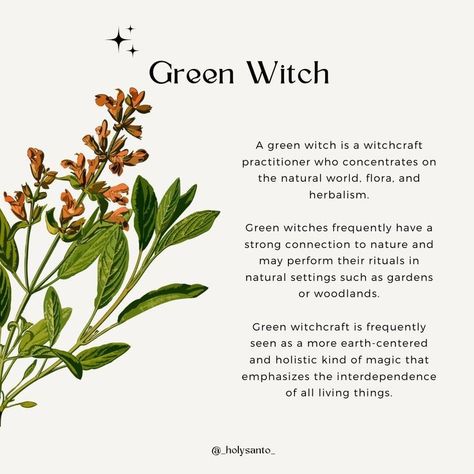 Fairy People, Green Witch Aesthetic, The Green Witch, Goddess Magick, Witch History, Pretty Fairy, Nature Witch, Witch Herbs, Green Witchcraft