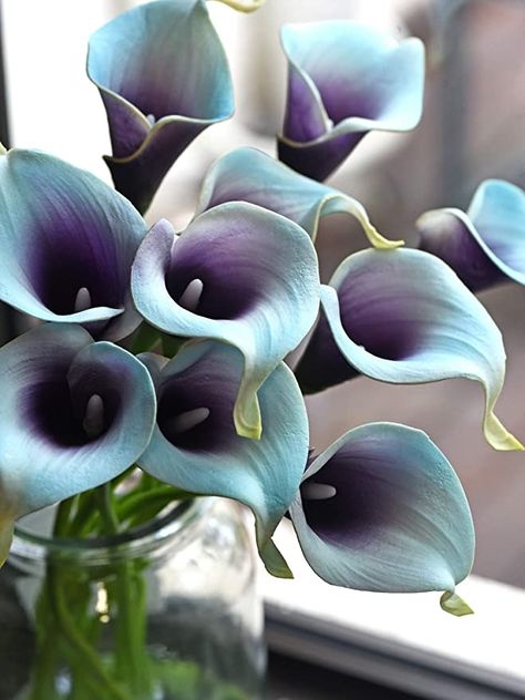 Amazon.com: FiveSeasonStuff Real Touch Calla Lily Artificial Flowers Wedding Bridal Bouquet | Floral Arrangements | 15 Calla Lilies (Artic Blue & Plum Purple) : Home & Kitchen Purple Calla Lilies, Fake Flower Arrangements, Easy Flower Drawings, Calla Lily Flowers, Purple Wedding Bouquets, Blue Wedding Bouquet, Lily Bouquet, Artificial Flowers Wedding, Artificial Flower Bouquet