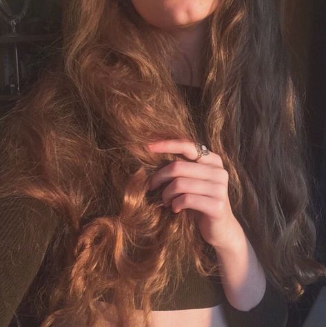 Long Brown Hair Aesthetic, Lily Evans, Scene Hair, Princess Aesthetic, Aesthetic Hair, Pretty Hairstyles, Hair Looks, Hair Goals, Hair Inspo