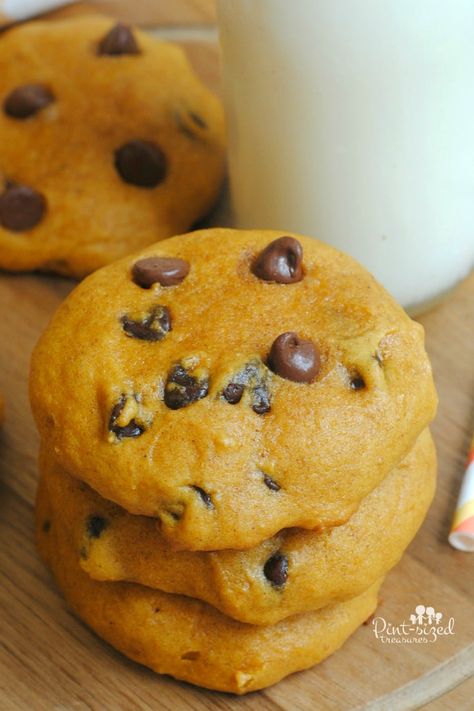 Soft Pumpkin Chocolate Chip Cookies, Pumpkin Cookie Recipe, Pumpkin Seed Recipes, Pumpkin Cookie, Pumpkin Pie Mix, Pumpkin Chocolate Chip, Pumpkin Chocolate Chip Cookies, Pumpkin Chocolate Chips, Pumpkin Season