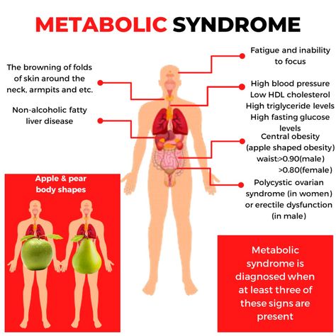 Insulin Resistance Symptoms, Metabolic Workouts, Lower Cholesterol Naturally, Foot Reflexology Massage, Snowy Egret, Low Estrogen Symptoms, High Cholesterol Levels, Hdl Cholesterol, Reflexology Massage