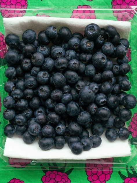 How to Store Blueberries (make them last for weeks) - Brooklyn Farm Girl How To Store Blueberries, Blue Berries, How To Store, Frozen Blueberries, Farm Girl, Save Food, Blueberries, Paper Towel, Brooklyn