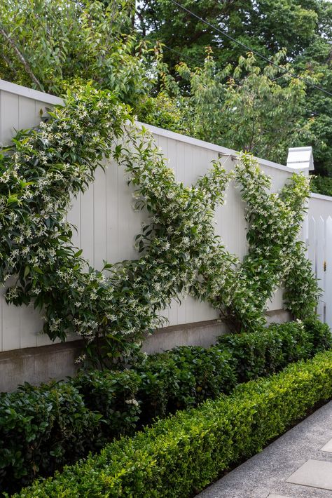 Collaboration Work | HEDGE | Garden Designer & Architect Fence Border Landscaping, Hedge Garden Design, Border Landscaping, Hamptons Garden, Hedge Garden, Fence Border, Small City Garden, Chinese Star, Garden Retaining Wall