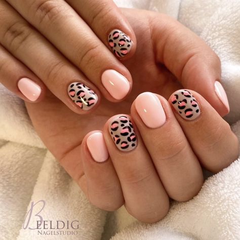 Summer Leopard Nails Short, Short Nail Designs Leopard, Valentines Leopard Nails, Nails Pink Leopard, Pink Nails With Leopard Print, Really Really Short Nails, Cute Gel Nails Short Simple, Cheetah Nails Short, Pink And Leopard Nails