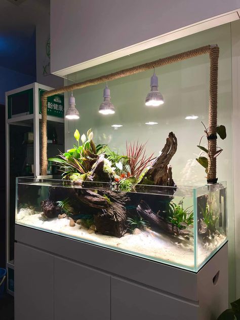 Aquarium Placement In Living Room, Aquarium Design Ideas, Bioactive Vivarium, Frog Terrarium, Japan Living, Apartment Pet, Amazing Aquariums, Fish Tank Terrarium, Turtle Habitat