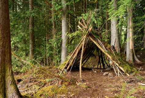 A Beginner's Guide to Bushcraft Bushcraft Tips, Bushcraft Projects, Best Survival Books, Wilderness Survival Shelter, Tanning Hides, Bushcraft Skills, Shelter Design, 2025 Mood, Survival Shelter