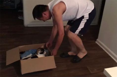 No Matter How Much I Begged, My Dad Never Let Me Have A Pet When I Was Younger. This Is Him Dragging My Cat In A Box (Which He Named The “Kitty Express”) While Making Train Noises, And Laughing Like A Child Cold Images, Hate Cats, Let It Out, Feral Cats, Dog Door, Brown Dog, Men’s Health, Dog Images, Cat Sleeping