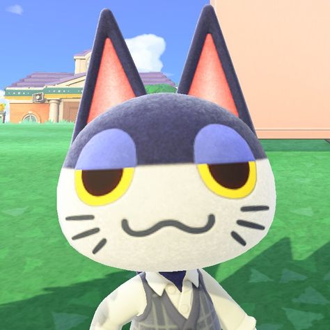 Punchy Animal Crossing Icon, Acnh Punchy, Punchy Animal Crossing, Animal Crossing Pfp, Acnh Icons, Animal Crossing Cats, Animal Crossing Funny, Nap Pillow, Animal Crossing Characters