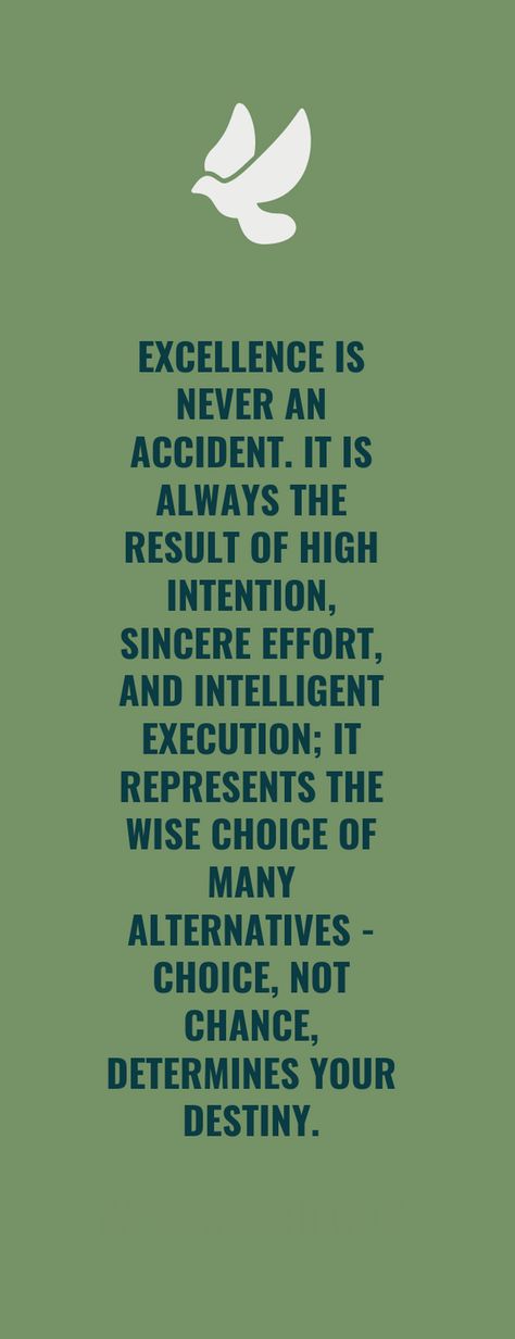 Excellence Is Never An Accident Quote, Accident Quotes, Pretty Words, Destiny, Meditation, Health, Quotes