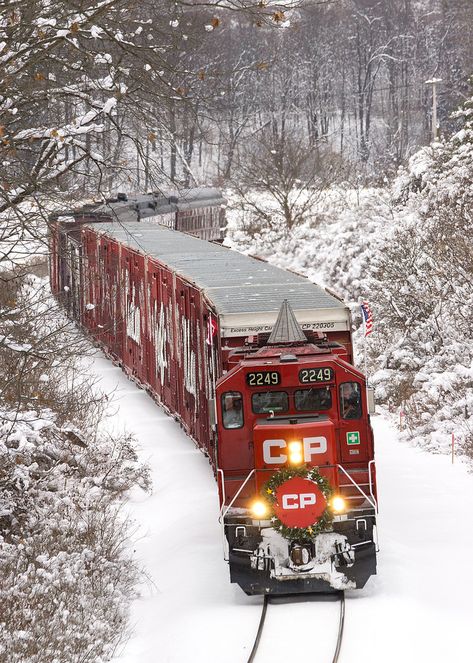 Ajaccio Corsica, Canadian Pacific Railway, Rail Train, Holiday Train, Scenic Railroads, Railroad Photography, Train Art, Lionel Trains, Train Photography