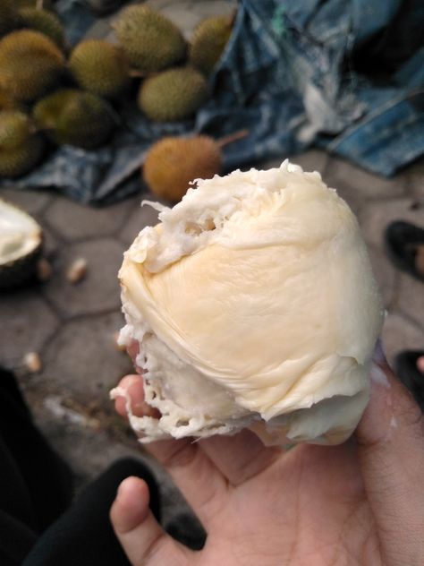 Durian montong Durian Montong, Snapchat, Ice Cream, Quick Saves