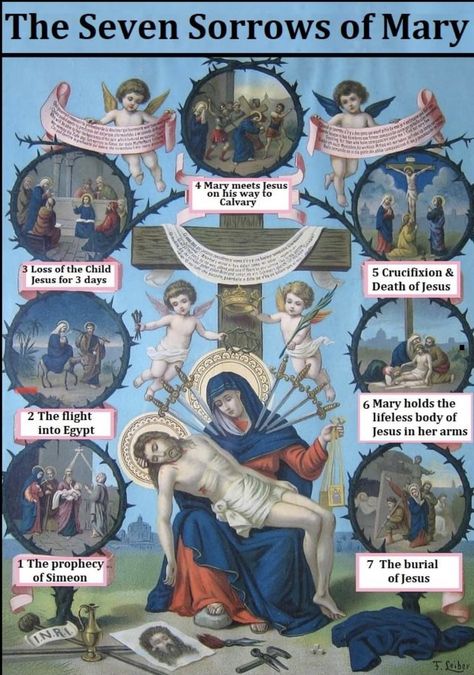 Seven Sorrows Of Mary, 7 Sorrows Of Mary, Sorrows Of Mary, Learn To Pray, Traditional Catholicism, Catholic Beliefs, The Prophecy, Learning To Pray, Crucifixion Of Jesus