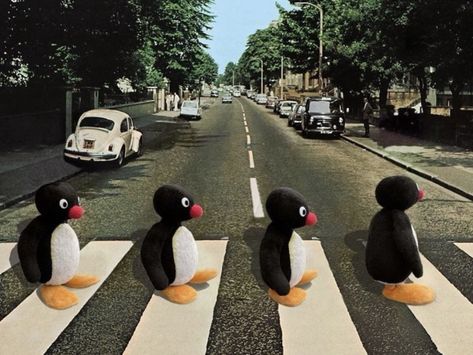 Pingu Memes, Pingu Pingu, Noot Noot, Rap Album Covers, Goofy Drawing, Rap Albums, Cute Cartoon Drawings, Photo Wall Collage, Bear Wallpaper