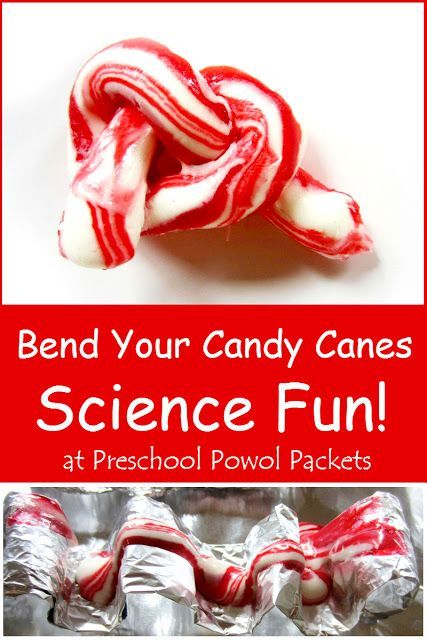 Wow! This is awesome! Super fun Christmas science experiment: Bend Your Candy Cane!! Great for holidays, preschool, and even older kids! from Preschool Powol Packets: Prek Christmas Science Experiments, Candy Cane Science Preschool, Christmas Theme Science Experiments, Candy Cane Experiment For Kids, Candy Cane Science Experiment Preschool, Candy Cane Science, Candy Science Experiments, Christmas Science Activities, Candy Science