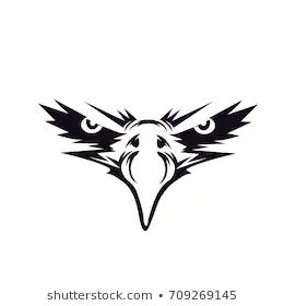 Eagle Face Drawing, Eagle Face Tattoo, Bike Png, Batman Silhouette, Bike Decals, Birds Vector, Eagle Artwork, Tattoo Designer, Eagle Silhouette