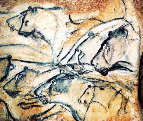 Lions painted in the Chauvet Cave 35,000 years ago . Altamira Cave, Lascaux Cave Paintings, Chauvet Cave, Prehistoric Cave Paintings, Paleolithic Art, Cave Drawings, Prehistoric Art, Cave Paintings, Art Antique