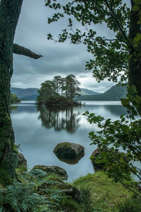 Simon Lee, Derwent Water, Reflection Pictures, Lake District, Beautiful Landscapes, Wonders Of The World, Nature Photography, Around The Worlds, Forest