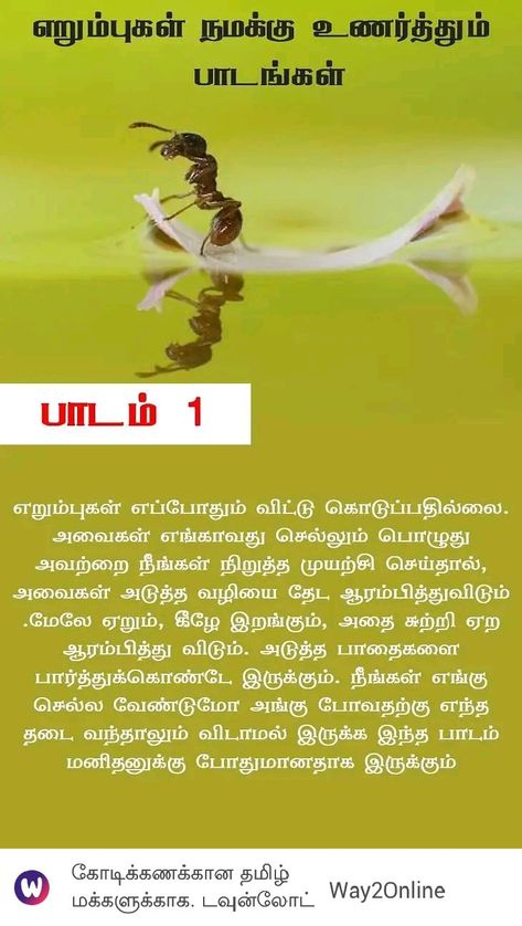 நீதி கதைகள், Tamil Writing, Ant Lesson, Inspirational Stories Motivation, Tamil Worksheet, Motivational Stories In Tamil, Tamil Story, Lion Story, Small Stories For Kids