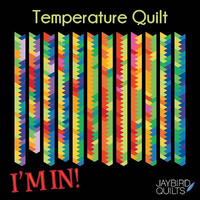 Temperature Quilt Pattern, Temperature Quilts, Temperature Quilt Ideas And Designs, Temperature Quilt, Braid Quilt, Jaybird Quilts, Temperature Blanket, Quilting Board, Bird Quilt