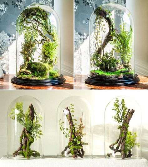 Enchanted Forest Terrarium Domes Forest Terrarium, Mini Terrarium, Terrarium Decor, Moss Garden, Decoration Plante, Terrarium Diy, Garden Terrarium, Indoor Gardens, Have Inspiration