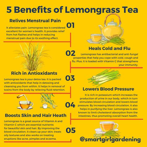 Let's look at the benefits of fever grass, more commonly known as “lemongrass” outside of Jamaican. ⁠ ⁠ The tea is widely brewed by Jamaicans to reduce fever, hence the name “fever grass”. Here are some benefits to drinking the tea or using the lemon grass essential oil extracted from the plant.⁠ ⁠ Have you ever seen any medicinal benefits of lemongrass?⁠ ⁠ #herbfact #herbaltea #medicinalherbs #medicinalplants #lemongrass #fevergrass #lemongrasstea #lemongrassoil #medicinalgarden Benefits Of Lemongrass Tea, Lemon Grass Tea Benefits, Lemongrass Benefits, Lemongrass Drink, Lemon Grass Essential Oil, Lemon Grass Tea, Tea Blending, Reduce Fever, Diy Lemonade Stand