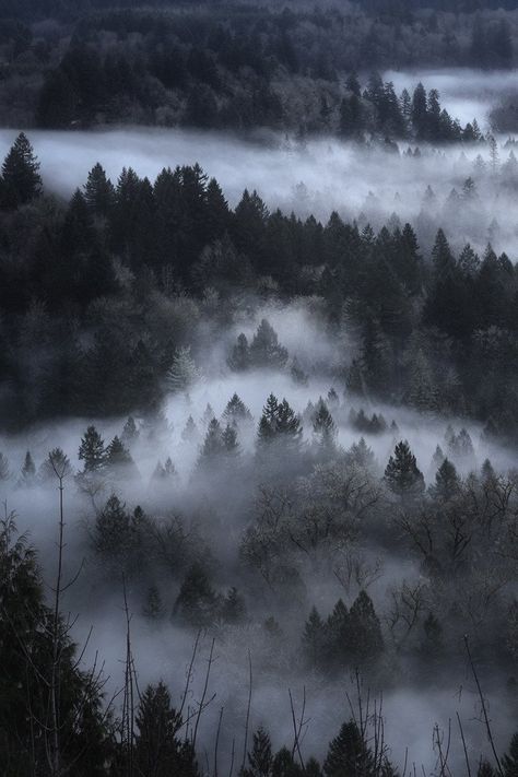 Viking Aesthetic, Nordic Aesthetic, Dark Mountains, Mountain Aesthetic, Mountains Aesthetic, Norwegian Wood, Winter Mountain, Norwegian Forest, New Fantasy