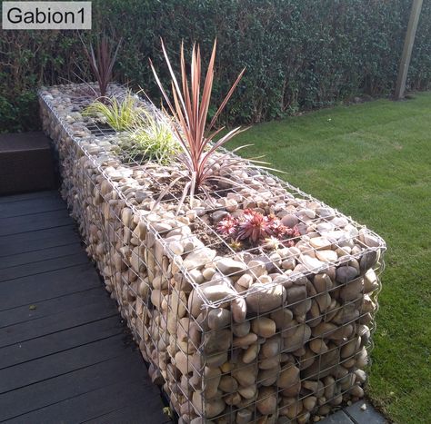 Gabion wall with planter tubs inserted Gabion Wall Planter, Gabion Planter Ideas, Gabion Wall Garden, Diy Gabion Wall, Gabion Garden Ideas, Garden Boundary, Gabion Garden, Gabion Planter, Gabion Wall Design