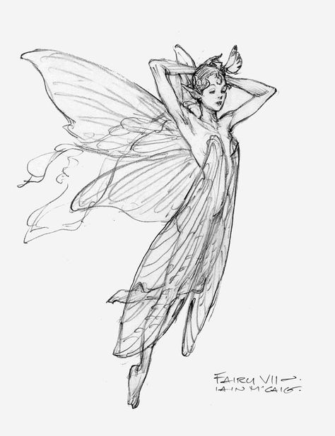 The Fairy Sketch Books of Iain McCaig: Endicott Studio for Mythic Arts Earthy Fairy Tattoo, Vintage Fairy Illustrations Black And White, Pixies Drawing, Pixie Character Design, Pixie Creature, Male Fairy Art, Faerie Folklore, Pixie Illustration, Pixie Drawing