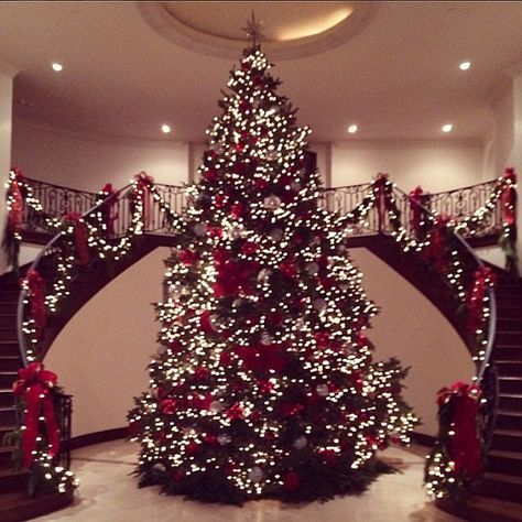 Breathtaking! Kris Jenner postd this Instagram on Tuesday of her beautiful Christmas tree standing tall in the foyer of her home Celebrity Christmas, Christmas Tree Tops, Fun Christmas Decorations, Christmas Tree Stand, Beautiful Christmas Trees, Kris Jenner, Noel Christmas, Christmas Love, Christmas Aesthetic