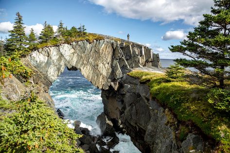 Drive Newfoundland and Labrador's spellbinding Irish Loop | Destination Canada Labrador Canada, Tourism Website, Newfoundland And Labrador, St Mary, Newfoundland, Capital City, Countries Of The World, Back In Time, The East