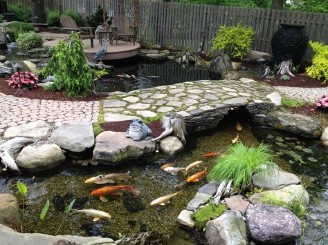 Beautiful Ecosystem Pond. Learn the Secret to Achieving a Crystal Clear, Trouble-Free Pond. Ecosystem Pond, Clear Pond, Kolam Koi, Taman Air, Goldfish Pond, Pond Maintenance, Small Pond, Koi Ponds, Fountains Backyard