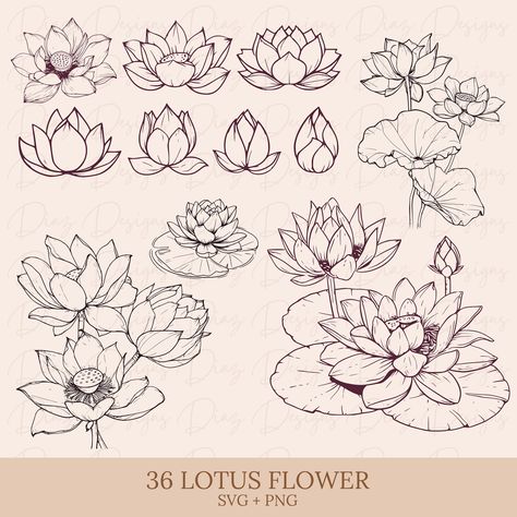 Lotus Flower Clipart, Lotus Flower On Lily Pad, How To Draw A Lotus Flower, Lotus Illustration Design, Lotus Reference, Lotus Flower Line Drawing, Paint Lotus Flower, Line Art Lotus, Lotus Flower Aesthetic