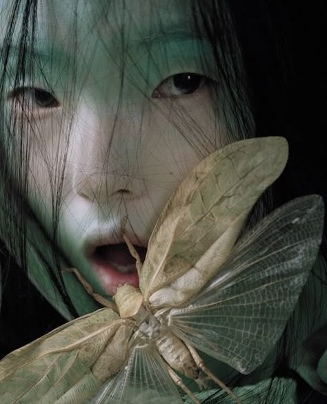 * Xiao Wen Ju, Tim Walker, Moth