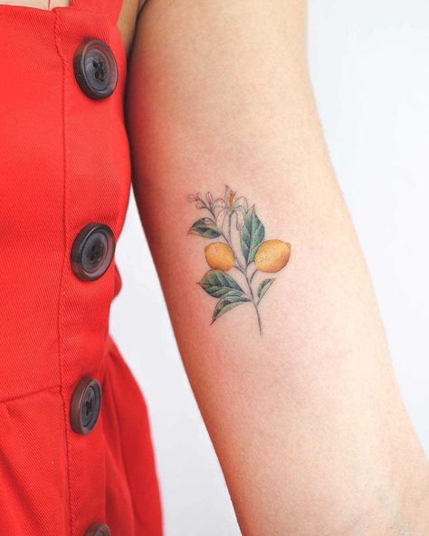 Realistic lemon branch tattoo on the left arm Lemon Branch Tattoo, Lemon Tree Tattoo, Lemon Tattoo, Lemon Branch, Colour Tattoo For Women, Iris Tattoo, Belly Tattoos, Branch Tattoo, Tattoo Shirt